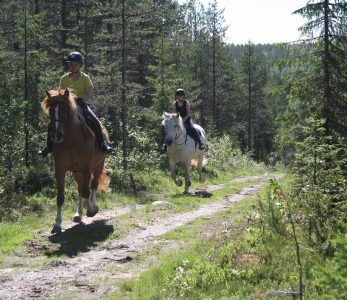 ratsastajia metsässä